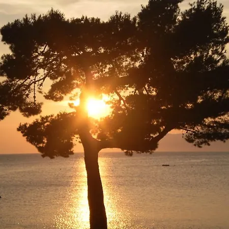 Appartement Mise Makarska